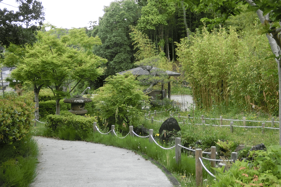 高山竹林園の写真