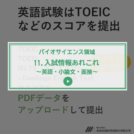 第11回 入試情報あれこれ～英語・小論文・面接