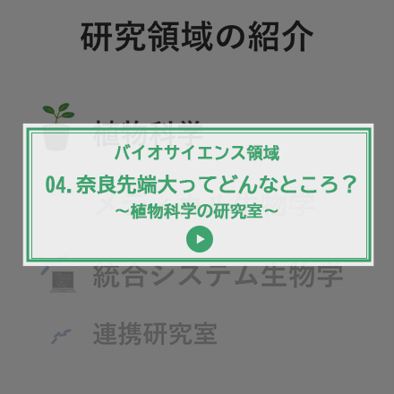 第4回 奈良先端大ってどんなところ？～植物科学の研究室
