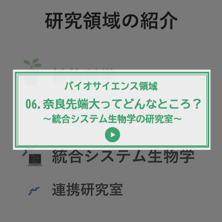 第6回 奈良先端大ってどんなところ？～統合システム生物学の研究室