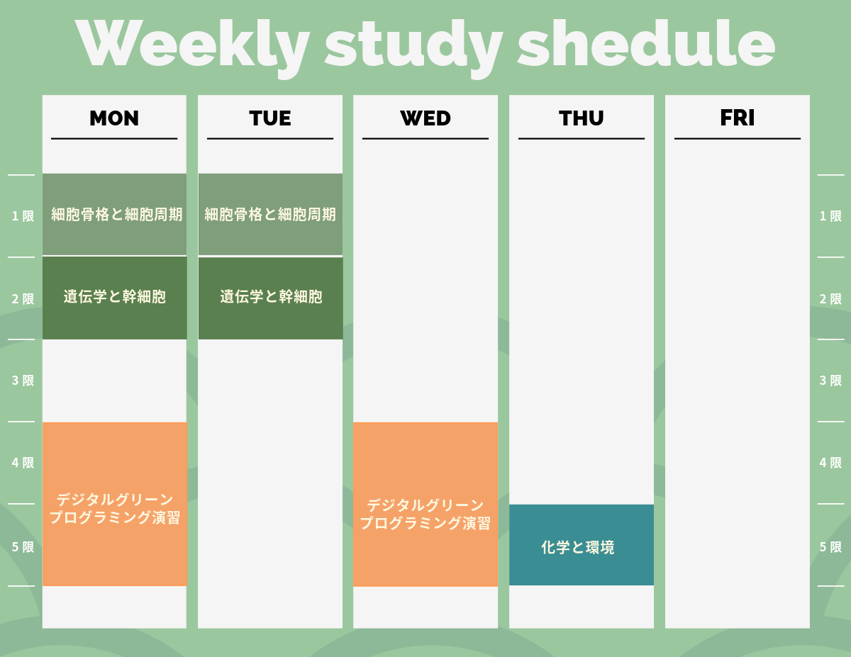 授業スケジュール例