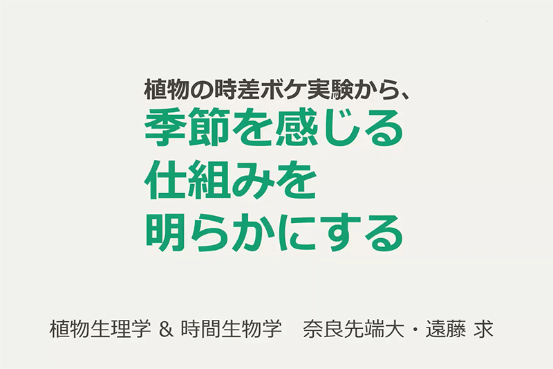 植物の時差ボケ実験から、季節を感じる仕組みを明らかにする