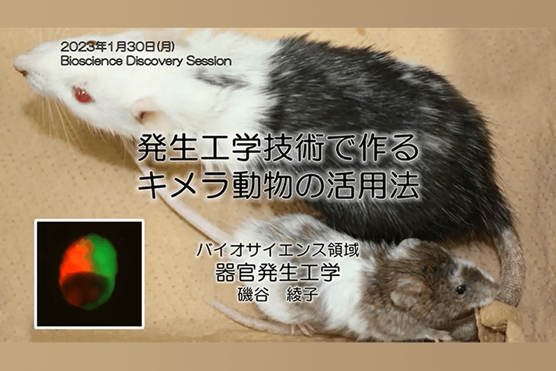 発生工学技術で作るキメラ動物の活用法