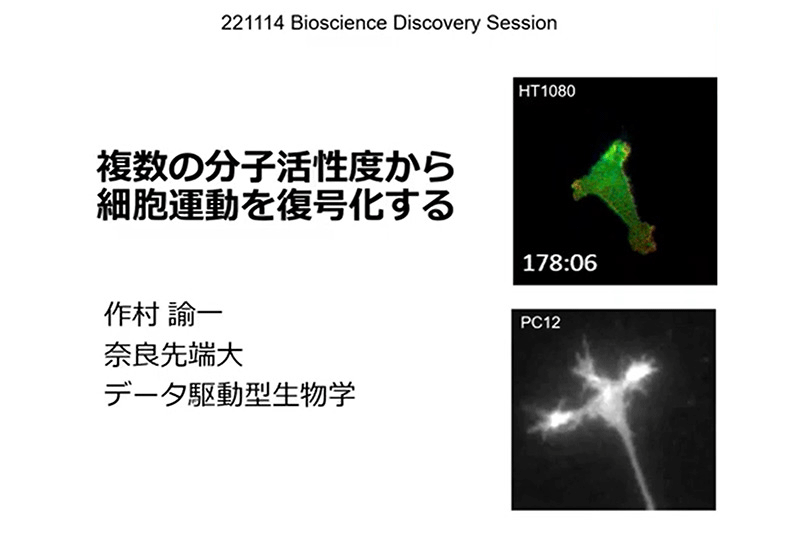 複数の分子活性度から細胞運動を復号化する