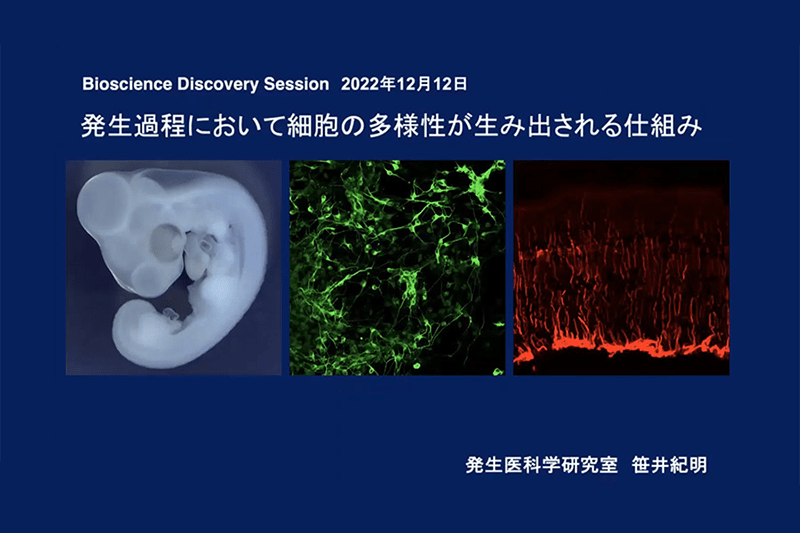 発生過程において細胞の多様性が生み出される仕組み
