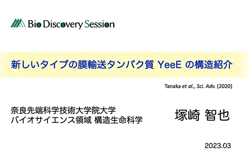 新しいタイプの膜輸送タンパク質 YeeE の構造紹介