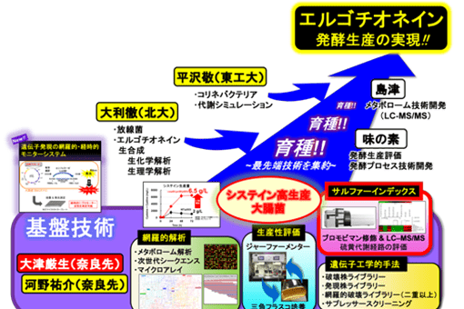 バイオサイエンス研究科ストレス微生物科学研究室の大津厳生助教が農水省より『農林水産業・食品産業科学技術研究推進事業 発展融合ステージ 産学機関結集型Aタイプ』対象者に選ばれました。
