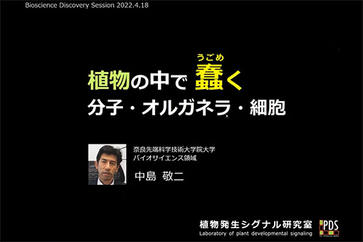 植物発生シグナル研究室の全学オンラインセミナー動画を公開しました。