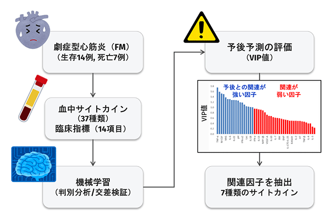 血中サイトカイン情報から小児心筋炎の病態を予測する機械学習モデルを開発
ーサイトカイン情報と機械学習によって予後予測に重要な因子を抽出ー